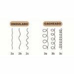Diferentes curvaturas de cabelo: liso, ondulado, cacheado e crespo, com cuidados e definição para cada tipo.